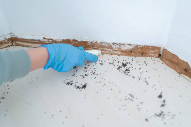 Best Pest Exclusion Services  in Lake Junaluska, NC